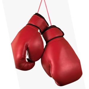 Boxing Gloves & Accessories